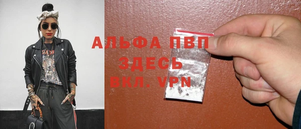 ECSTASY Ельня