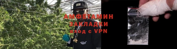 спиды Елизово