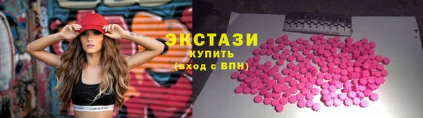 ECSTASY Ельня