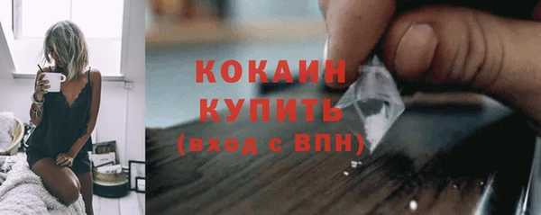 ECSTASY Ельня