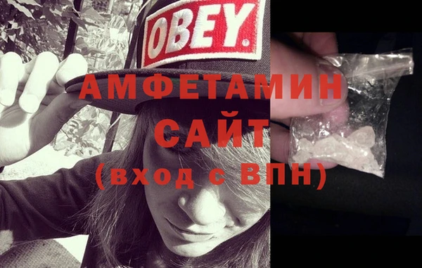 ECSTASY Ельня