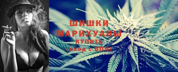 ECSTASY Ельня