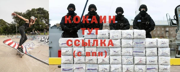 спиды Елизово