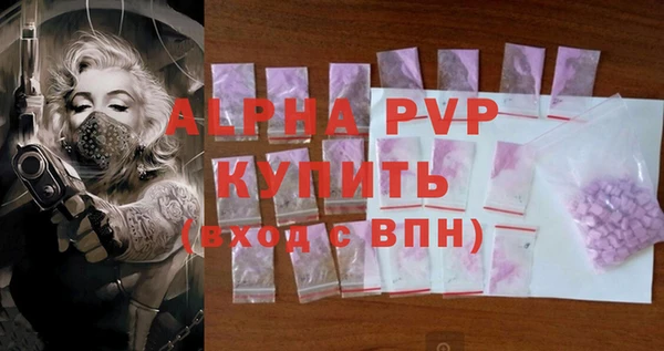 ECSTASY Ельня