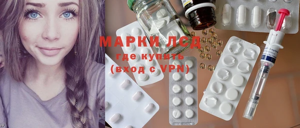 ECSTASY Ельня