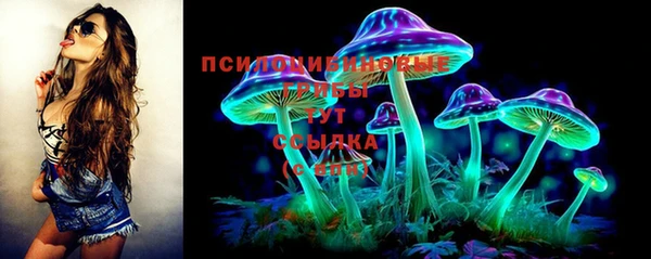 ECSTASY Ельня