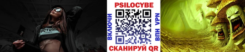 дарнет шоп Владимир Галлюциногенные грибы MAGIC MUSHROOMS